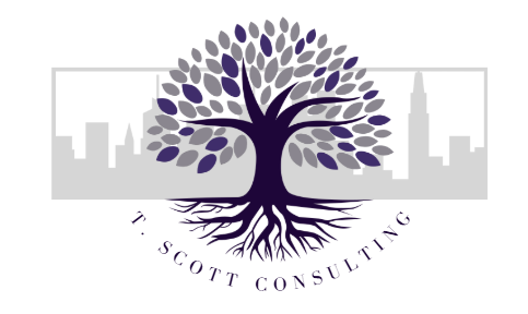 t scott consulting logo2